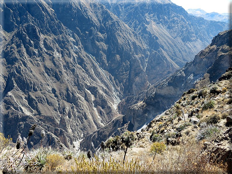 foto Canyon del Colca